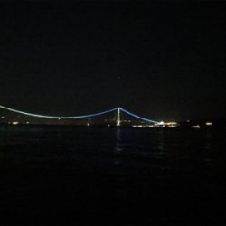 今シーズンラスト エギングかな