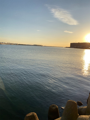 太刀魚狙うも。。