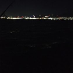 ドジョウ最強伝説