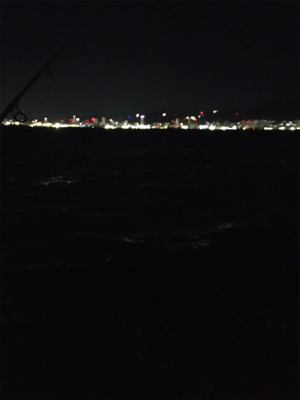 ドジョウ最強伝説