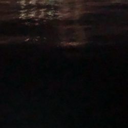 今日は連れら数人と…