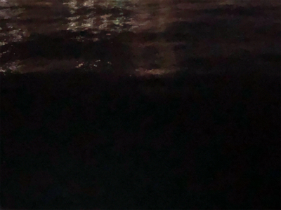 今日は連れら数人と…