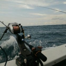 小浜市犬熊・第7佐藤丸さんにて