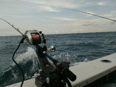 小浜市犬熊・第7佐藤丸さんにて