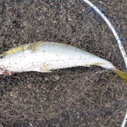 激渋の中、なんとか