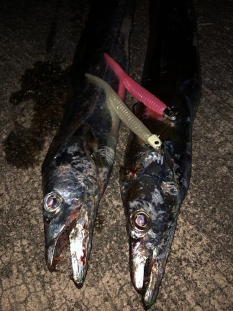 武庫一ワインド2