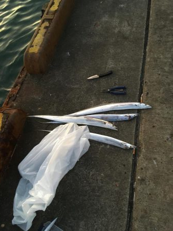 マリンピアで人爆