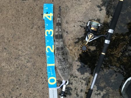 久しぶりの釣果