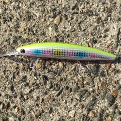 ナブラはあるものの