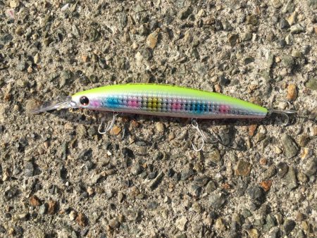 ナブラはあるものの