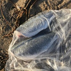 荒れ気味サーフ