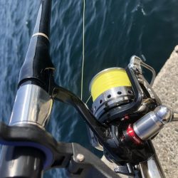 沖一文字でイサギ