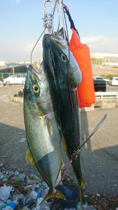 本日2回目昼から釣行。