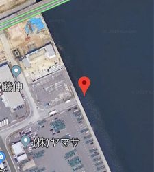 ショアジギング