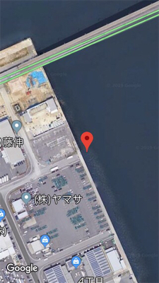 ショアジギング