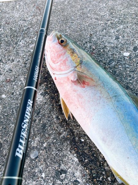 ショアジギング