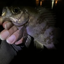 地合いつかめず