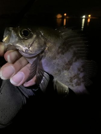 地合いつかめず