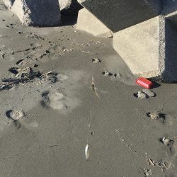 和田島T字付近でキス