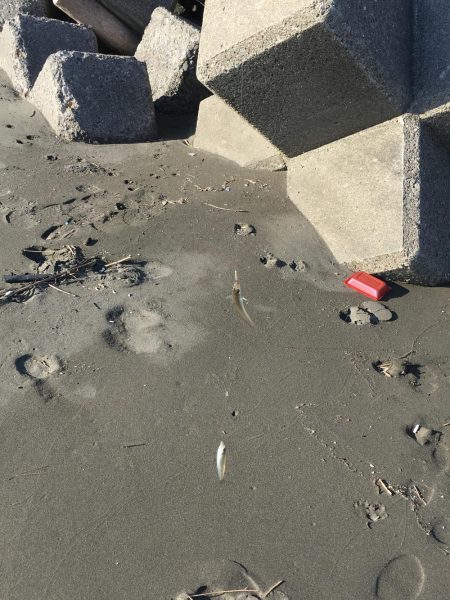 和田島T字付近でキス