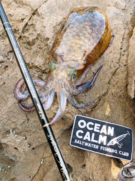 ライトゲーム、エギング