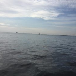 四日市沖堤防でショアジギング