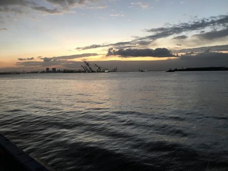 タチウオ終わり？