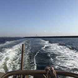 最初のバラシが…