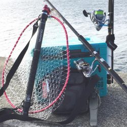 アウェーゲーム‼️