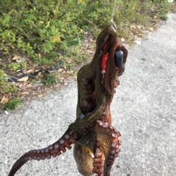 ライトゲームとタコ