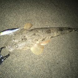 チーバスとマゴチ