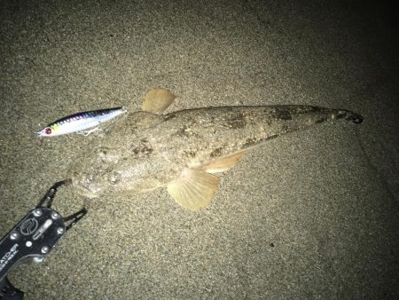 チーバスとマゴチ