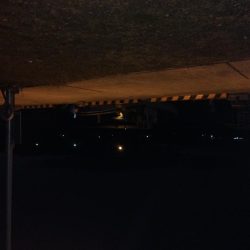 今期 初のヒイカ