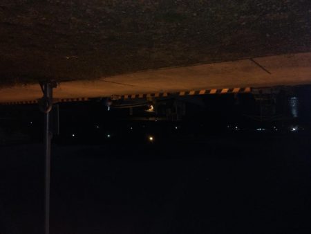 今期 初のヒイカ