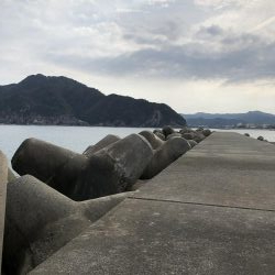 初ヒラマサ求めて？