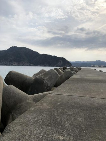 初ヒラマサ求めて？