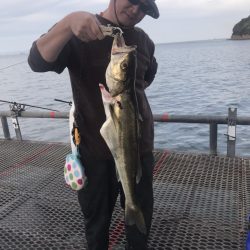 オセンでノマセ