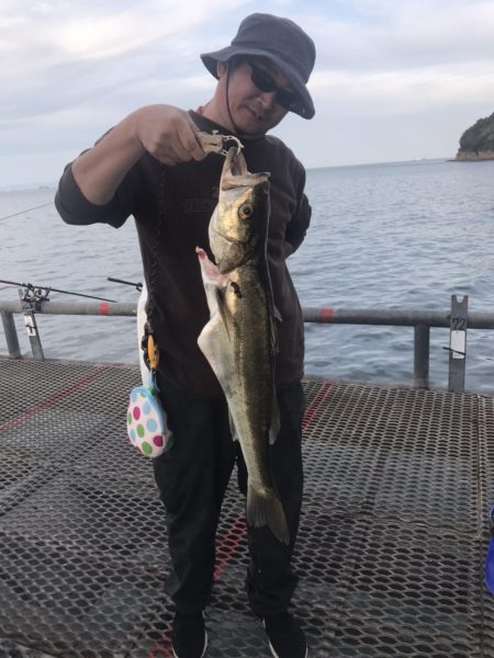 オセンでノマセ