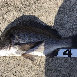 イチノ兄弟、釣果！