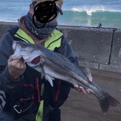 波打ち際のバイト