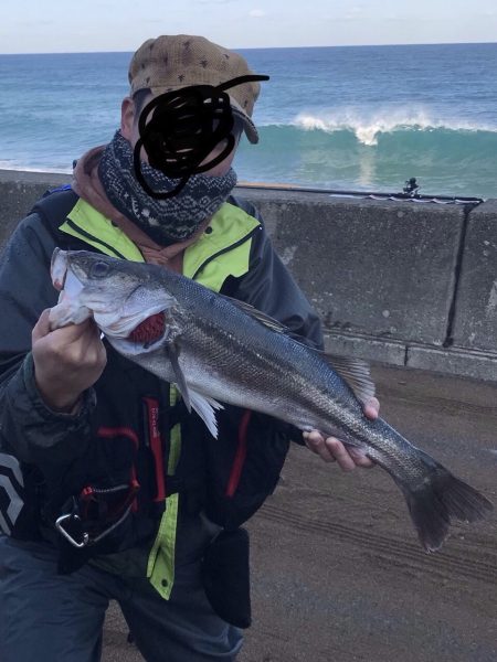 波打ち際のバイト