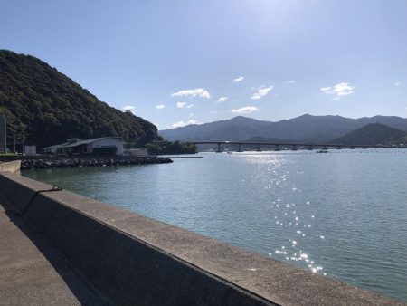 ちびヒイラギ祭り