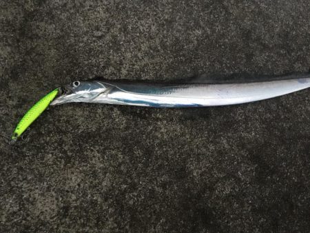 いいサイズ2本!