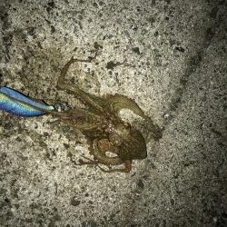 粘って何とか一杯