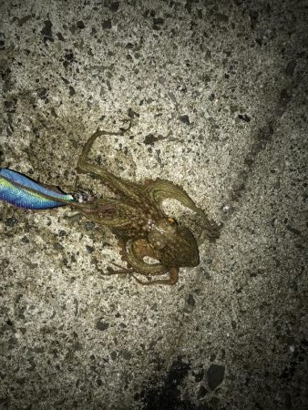 粘って何とか一杯