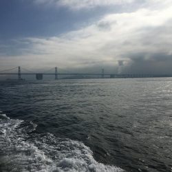 タイラバ&ジギング