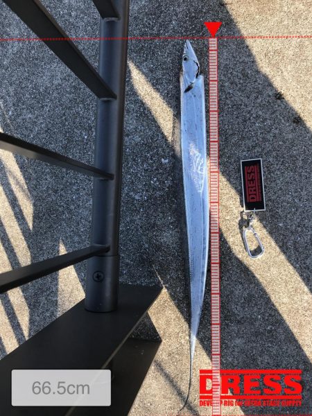 某youtuberさんが来ていたみたいなので