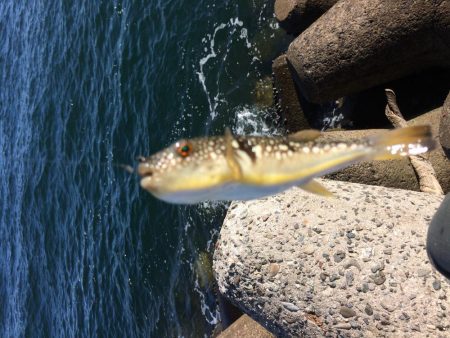 本命あらわる？