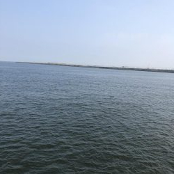 人生初南港海釣り公園