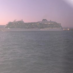 コスモ太刀魚渋い!